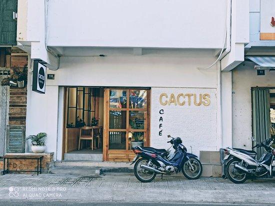 Cactus Coffee